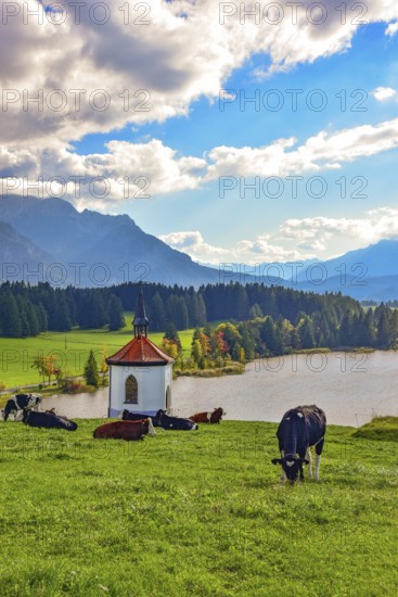 Chapel above the Hegratsried pond between Lake protected forest and Lake Forggensee near Füssen im Allgäu, Bavaria, Germany