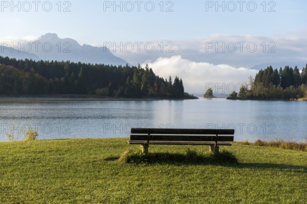 A lake with a bench in the foreground, surrounded by forests and mountains under a blue sky, Forggensee, Allgäu, Swabia, Bavaria, Germany