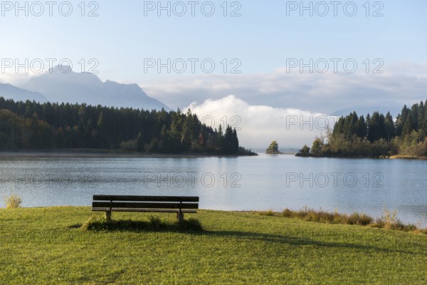 A bench stands in front of a quiet lake, surrounded by mountains and forests in clear air, Ostallgäu, Forggensee, Allgäu, Swabia, Bavaria, Germany