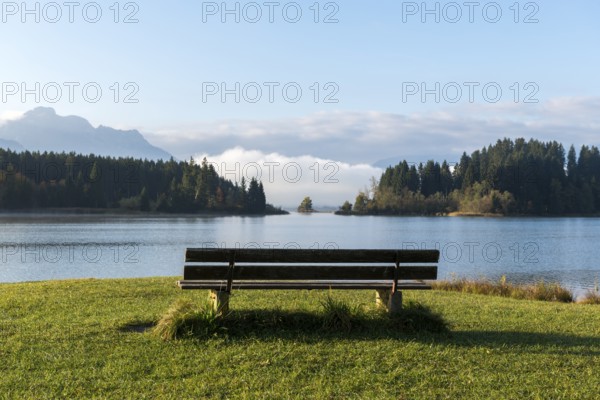 Wooden bench in front of a quiet lake with wooded landscape and mountains in the background, soft morning light, Forggensee, Allgäu, Swabia, Bavaria, Germany