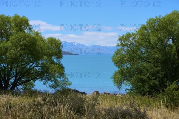 A lake surrounded by trees in the foreground, with a spectacular mountain backdrop and clear blue sky, Lake Tekapo, Canterbury, South Island, New Zealand