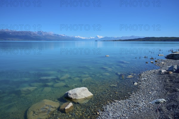 Clear lake with pebble beach and mountain backdrop under blue sky, Lake Pukaki Viewpoint, Pukaki, Canterbury, South Island, New Zealand