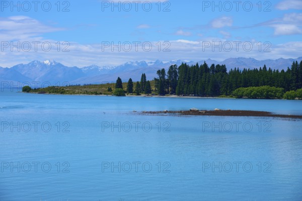 Clear water with trees on the shore against a backdrop of mountains and blue sky, Lake Tekapo, Tekapo, Canterbury, South Island, New Zealand