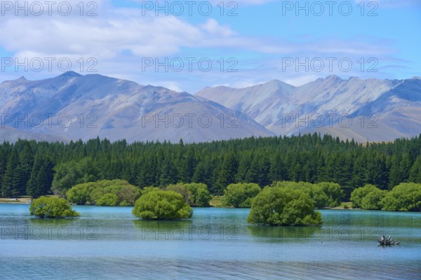 A lake with small green islands and wooded slopes against a mountain range and blue sky, Lake Tekapo, Canterbury, South Island, New Zealand