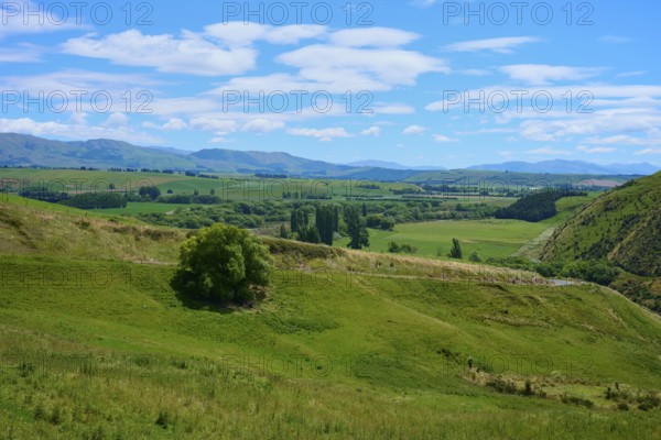 Green hills under blue sky with scattered clouds, rural and peaceful atmosphere, Canterbury, South Island, New Zealand