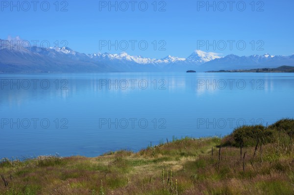 Landscape looking across meadow to a tranquil lake and snow-capped mountains, Lake Pukaki Viewpoint, Pukaki, Canterbury, South Island, New Zealand