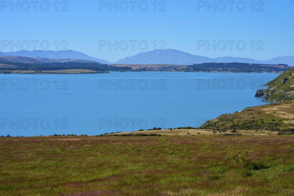 A calm lake with views of mountains and a grassy shoreline under clear blue skies, Lake Tekapo, Tekapo, Canterbury, South Island, New Zealand