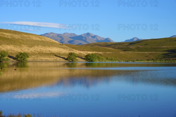 Calm lake with mountains and blue sky in the background, Lake McGregor, Tekapo, Canterbury, South Island, New Zealand