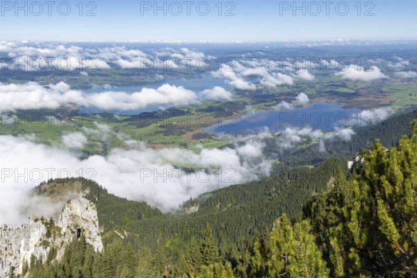 Panorama from Tegelberg, 1881m, on Forggensee and Bannwaldsee, Ostallgäu, Bavaria, Germany