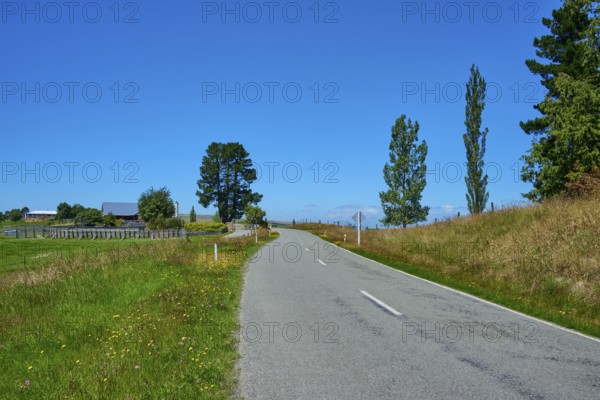 Rural road between green fields under clear sky, Geraldine Fairlie Lookout, Geraldine, Canterbury, South Island, New Zealand