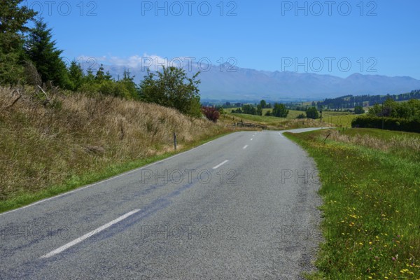 Empty country road leads through green landscape with distant mountains, Geraldine Fairlie Lookout, Geraldine, Canterbury, South Island, New Zealand