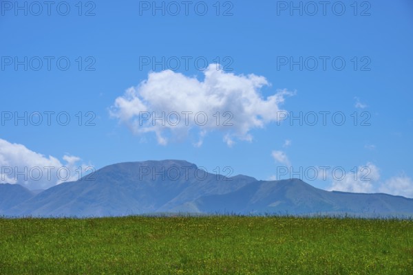 Green field with distant mountains and a cloud in the blue sky, Geraldine Fairlie Lookout, Geraldine, Canterbury, South Island, New Zealand