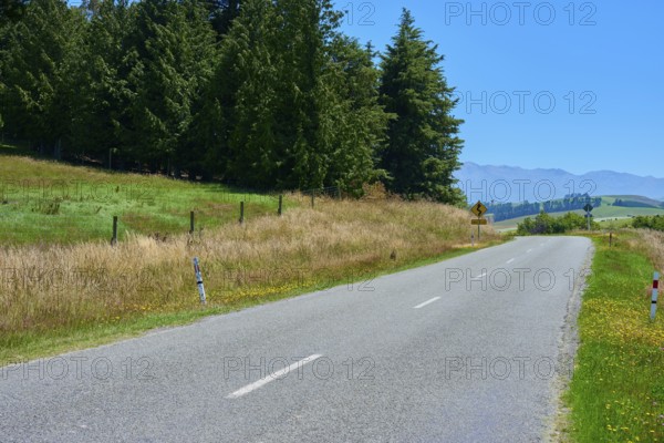 Rural road between trees and meadows in front of a mountain panorama, Geraldine Fairlie Lookout, Geraldine, Canterbury, South Island, New Zealand