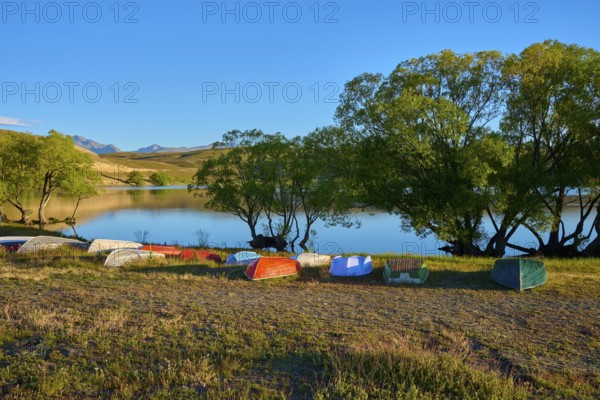 Boats are tipped over on the shores of a calm lake in the evening with wooded hills, Lake McGregor, Tekapo, Canterbury, South Island, New Zealand