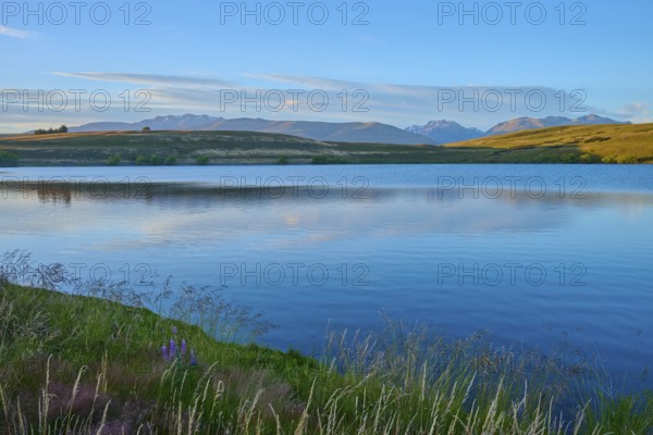 Calm lake with surrounding mountains and blue sky at sunset, Lake McGregor, Tekapo, Canterbury, South Island, New Zealand