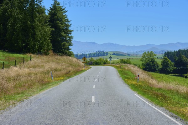 Rural road lined with trees with views of distant mountains, Geraldine Fairlie Lookout, Geraldine, Canterbury, South Island, New Zealand