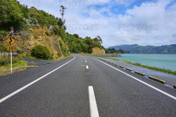 Asphalt road along a coast with green vegetation and rocks, Broad Bay, Dunedin, Otago, South Island, New Zealand