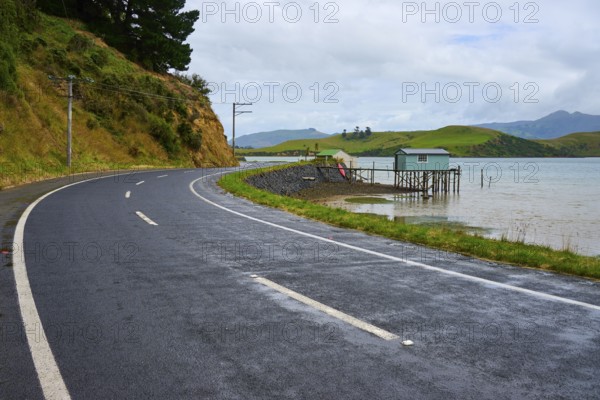 Road along the coast with a view of a distant cabin and green hills, Broad Bay, Dunedin, Otago, South Island, New Zealand