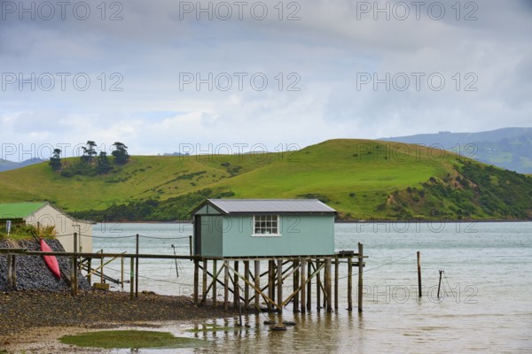 Cabin on stilts near water against green hills and cloudy sky, Broad Bay, Dunedin, Otago, South Island, New Zealand