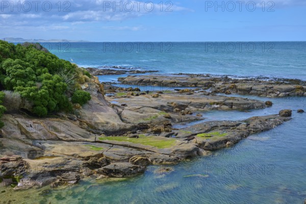 Rocky coastline on the blue sea with cloudy sky and calm water, Shag Point Lookout, Shag Point, Palmerston, Otago, South Island, New Zealand