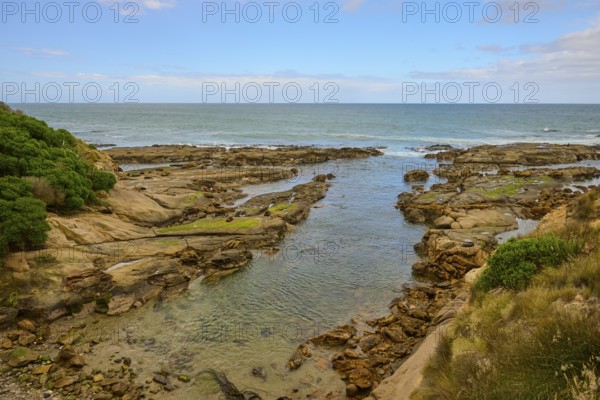Rocky coast with calm sea and blue sky with clouds, Shag Point Lookout, Shag Point, Palmerston, Otago, South Island, New Zealand