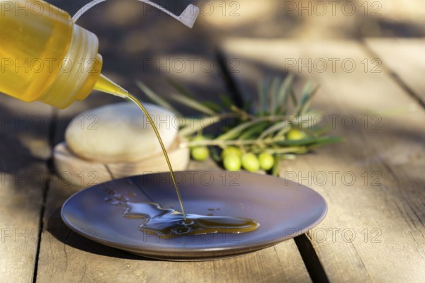 Pouring fresh extra virgin olive oil from a squirt bottle onto a plate, with olive branches in the background