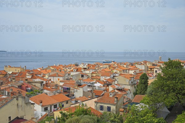 View of the old town of Piran, Adriatic Sea, Mediterranean, Piran, Istria, Slovenia