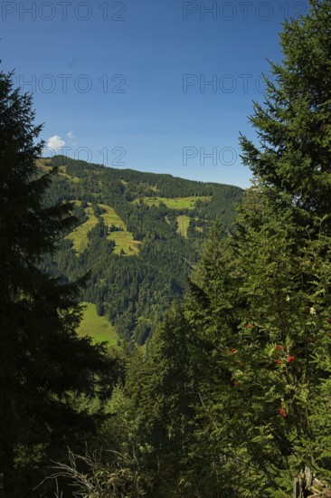 Alpine landscape near Embach, Embach, Austria