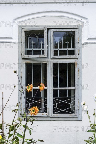 Old window with faded paint in front of a white façade and flowers in the foreground, Weinviertel Lower Austria Austria