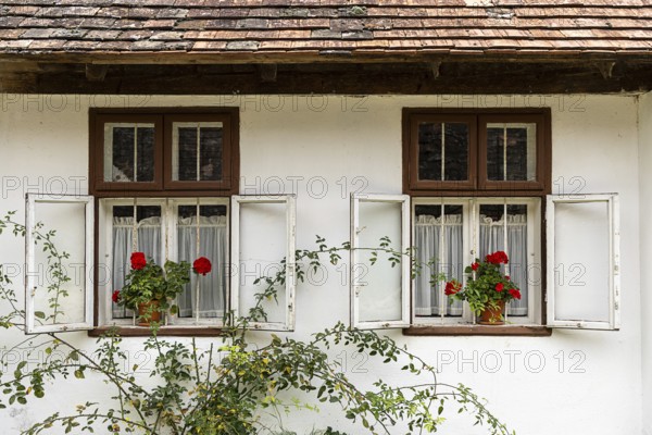 Two windows with open shutters, red geraniums in flower pots, Weinviertel Lower Austria Austria