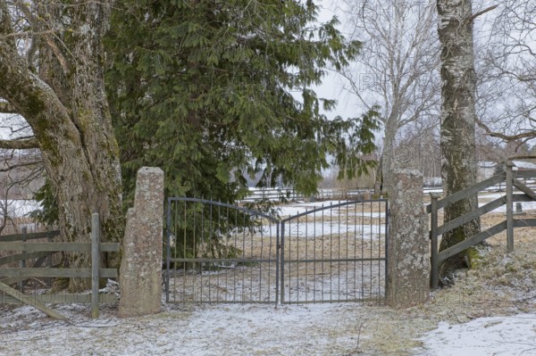 Closed old wrought iron gates mounted on stone gateposts to cemetery in winter, Degerby, Finland