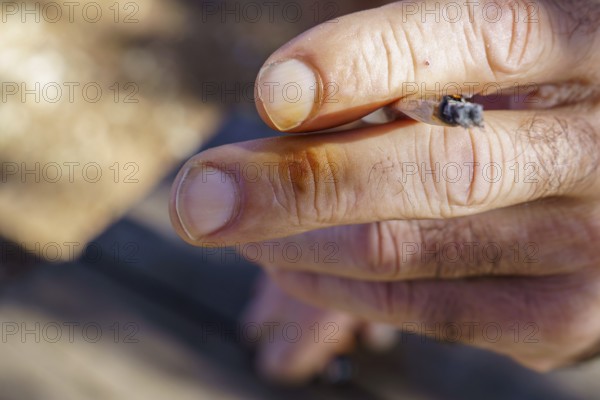 Man's hand gripping a burning cigarette, with yellow nicotine stains visible on fingers and fingernail, a symbol of smoking addiction