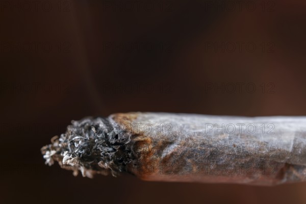 Close up view of a burning tobacco cigarette with forming ash and wisps of smoke rising from the ember