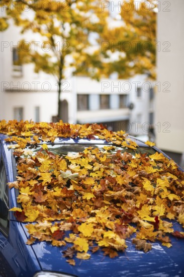 A car is covered with a thick layer of autumn leaves in autumn, Wuppertal, Germany