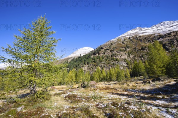 Mountain landscape with snow-capped mountain peaks in the Vinschgau Valley in Italy