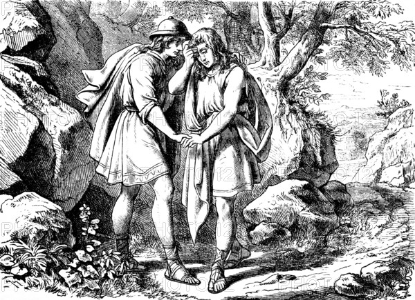Jonathan spoke to David, Go in Peace, First Book of Samuel, chapter 21, escape, giving comfort, despair, conversation, nature, mountainous landscape, rocks, trees, path, Old Testament, Bible, historical illustration 1877