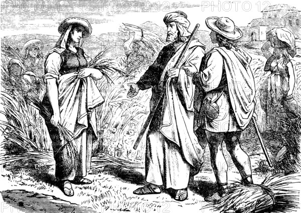 Ruth talks to Boaz and helps with the grain harvest, field, book of Ruth, chapter 2, harvest assistant, grain sheaves, Boaz's son, Old Testament, Bible, historical illustration 1877