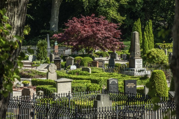 Trees and bushes among gravestones in the cemetery in Ystad, Skåne County, Sweden, Scandinavia