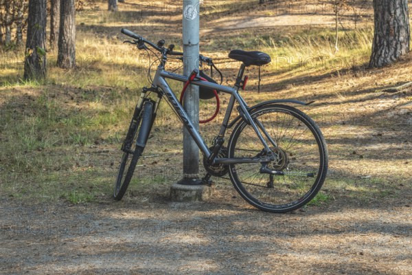 Parked modern bicycle locked to a lamppost in park in Ystad municipality, Skåne county, Sweden, Scandinavia