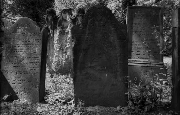 Germany, Halle, 5.8.1992, Jewish cemetery in Halle, gravestones
