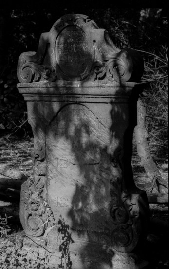 Germany, Halle, 5.8.1992, Jewish cemetery in Halle, gravestones