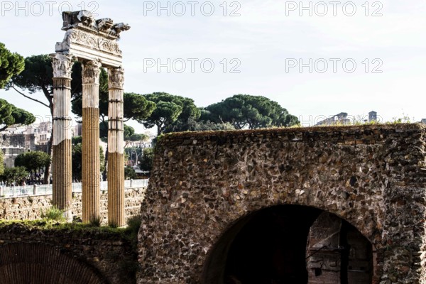Columns of the Temple of Venus Genetrix at the Forum of Caesar (Foro di Cesare), built between 1st century BC and 2nd century AD. Rome, Province of Rome, Italy. 23.12.2012