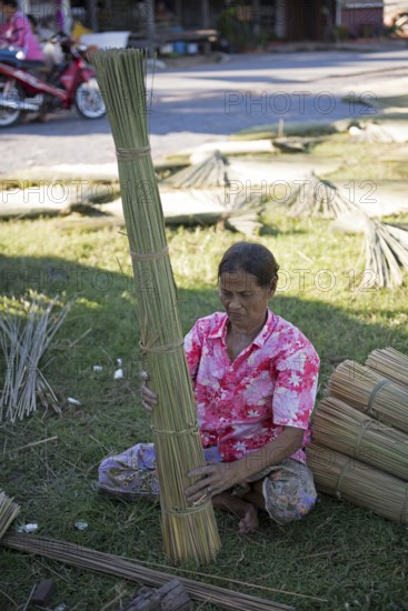 Thailand, Patthalung, Tale noi, Sorting, Separation and Tying up of the dried grey rushes or sedges (Lepirona articulata)