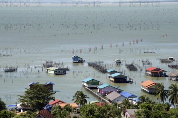 Thailand, Songkhla, Koh Yo, Aquacultural farm, Freshwater fish farming and field bow of nets