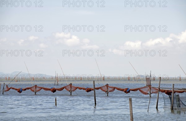 Thailand, Songkhla, Koh Yo, Aquacultural farm, Freshwater fish farming