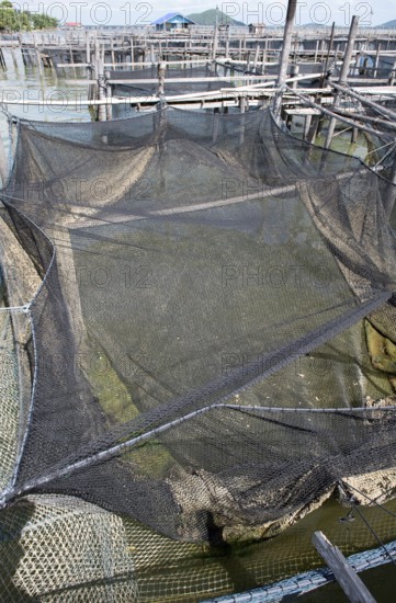 Thailand, Songkhla, Koh Yo, Aquacultural farm, Freshwater fish farming