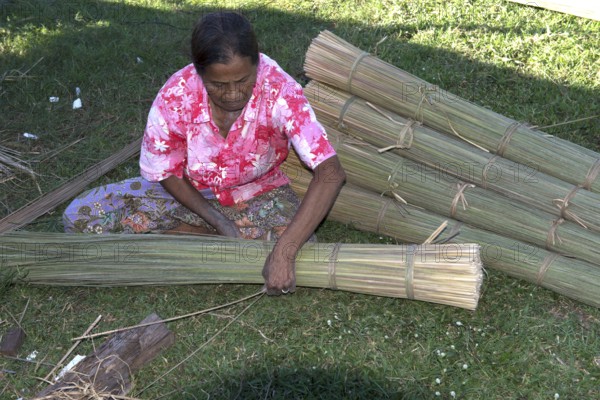 Thailand, Patthalung, Tale noi, Sorting, Separation and Tying up of the dried grey rushes or sedges (Lepirona articulata)
