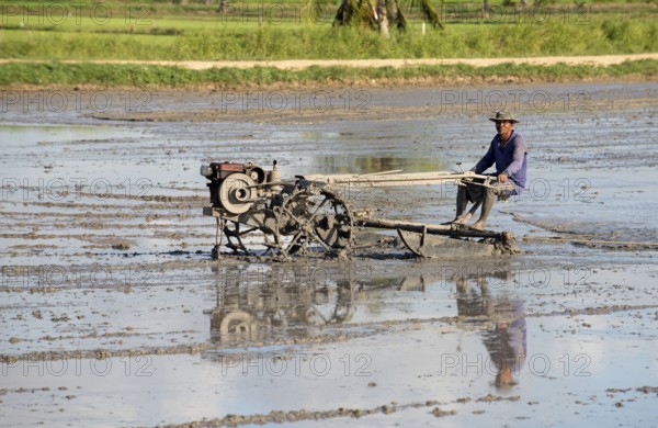 Southern Thailand, Farmer ride rice tractor for preparing the ground for rice plantation