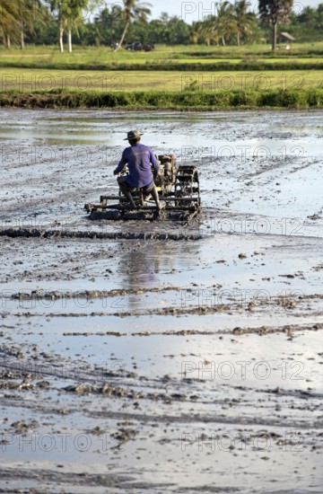 Southern Thailand, Farmer ride rice tractor for preparing the ground for rice plantation