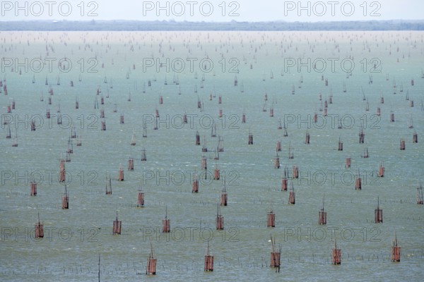 Thailand, Songkhla, Koh Yo, Aquacultural farm, Field of bow nets